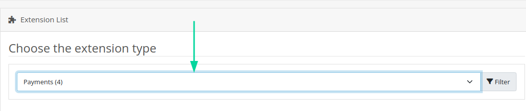 Filtro pelo tipo Payment habilitado